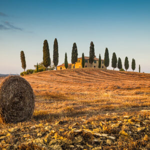Montalcino, Pienza Farm-House & Montepulciano (11 hours)