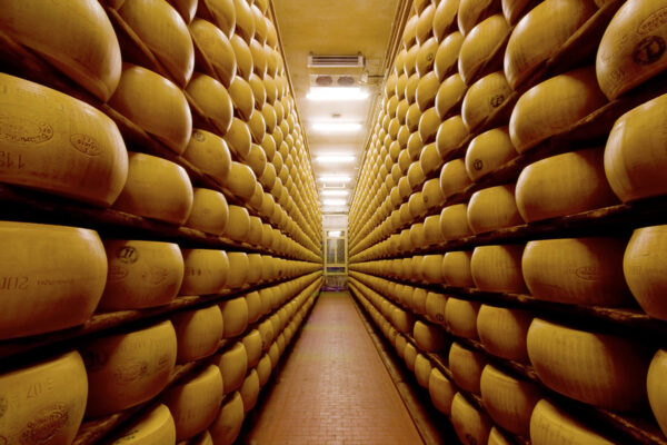ITS__0003_Parmiggiano Reggiano aging room