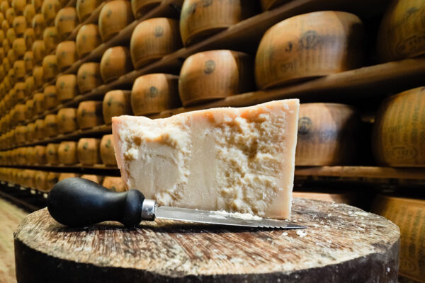 ITS__0004_PARMA, Feb 2021 parmesan cheese wheel at farm