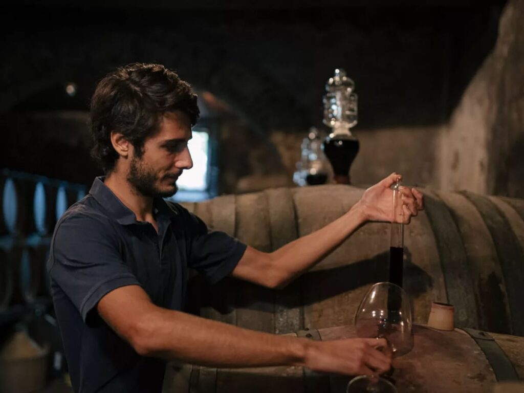 ITS__0009_Cantina fattoria Maionchi Lucca.jpg