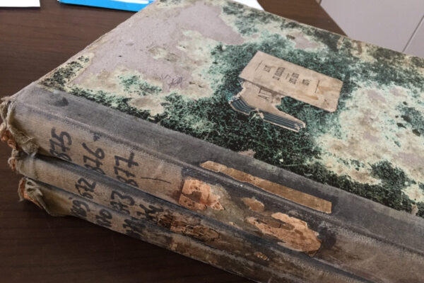 ITS_Genealogy-Research-Trip_Antique-Registry-Volumes_1 ITS_Genealogy-Research-Trip_Antique-Registry-Volumes_1