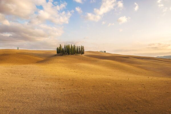 Autumn Colors On The Fields With Cypresse — Romantic Italy honeymoon by Italy Travel Specialist