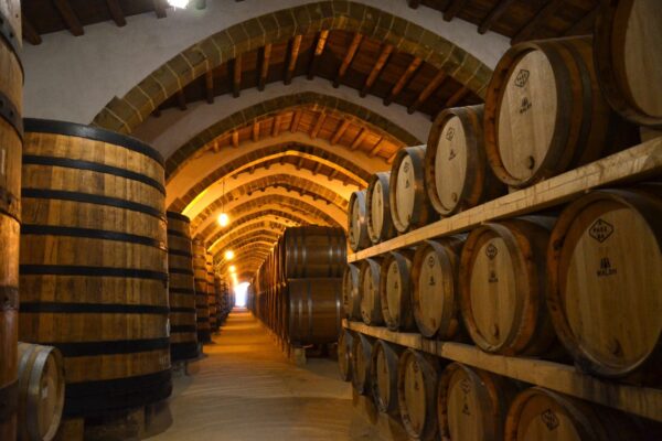Cantina Marsala — Sicily luxury tour by Italy Travel Specialist