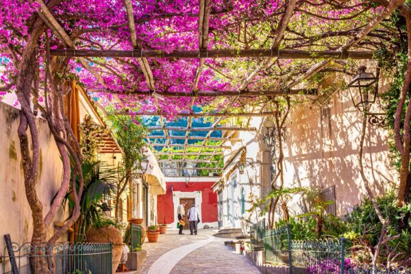 Narrow Street With A Wonderful Bougainvillea Covered — Amalfi Coast luxury tour by Italy Travel Specialist